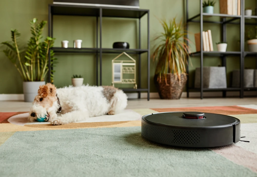 big robot vacuum cleaner